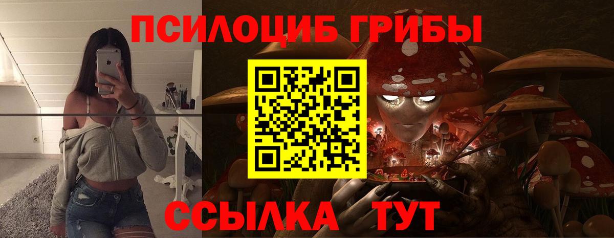 где купить   Вход с VPN  Краснотурьинск  Галлюциногенные грибы прущие грибы 